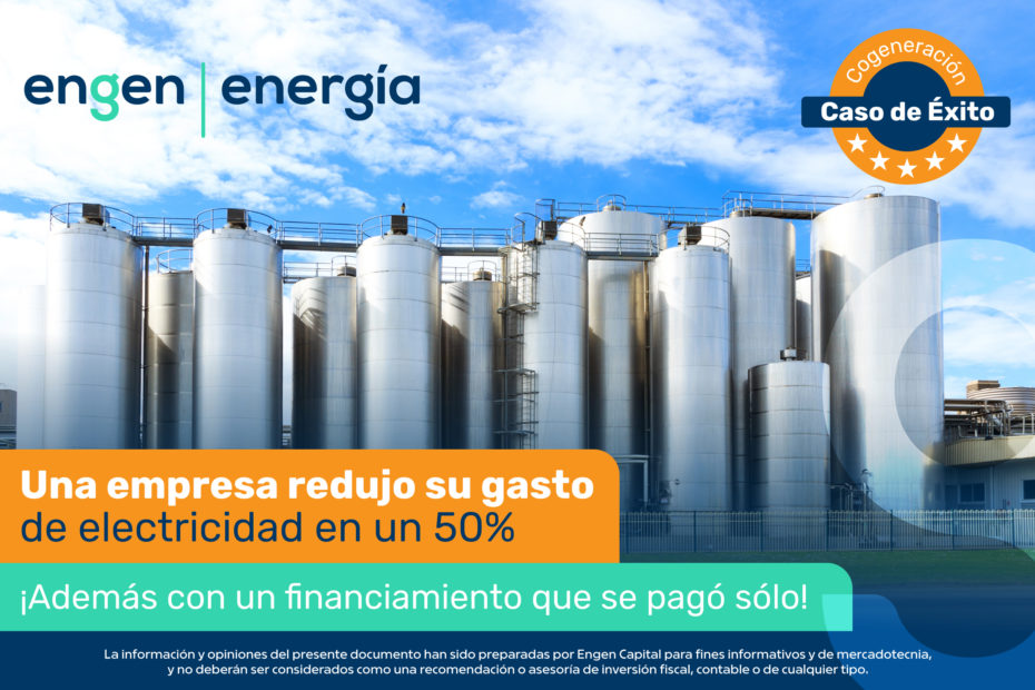 Ahorros y ganancias sin descapitalización con proyecto de cogeneración de energía